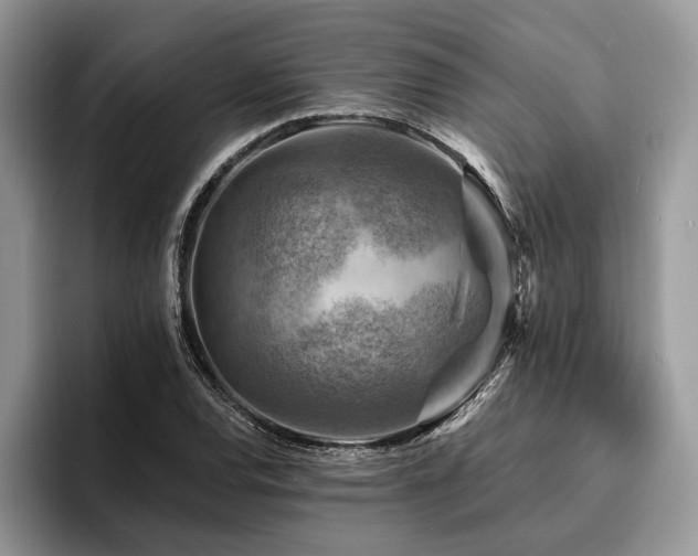 X0000096191120200801181315