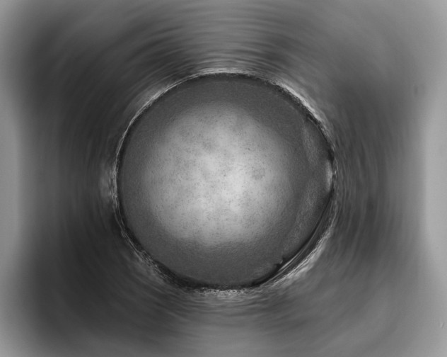 X0000096191121200801181315