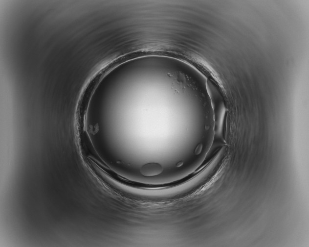X0000096191122200801181315