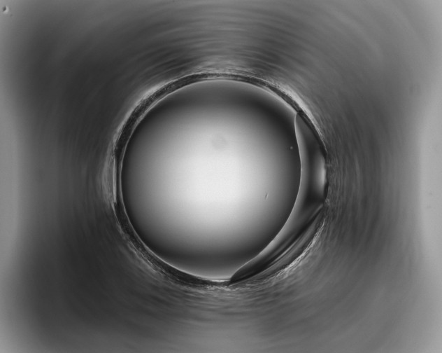 X0000096191123200801181315