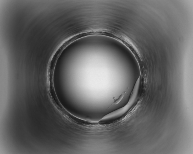 X0000096191124200801181315