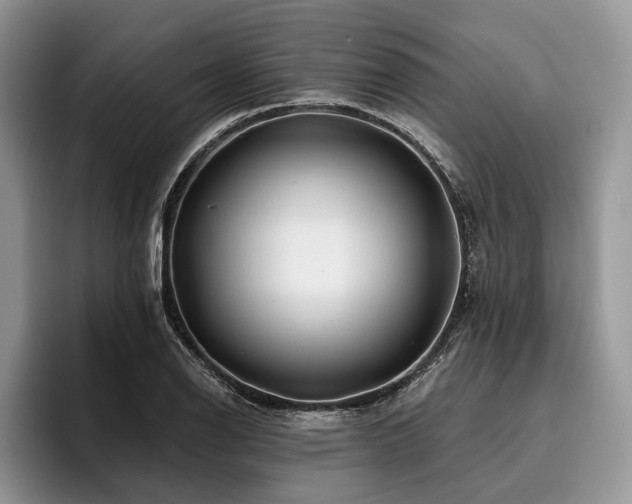 X0000096191126200801181315