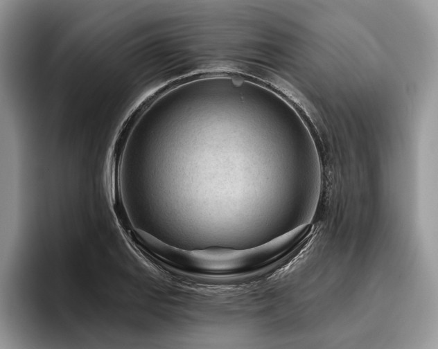 X0000096191127200801181315