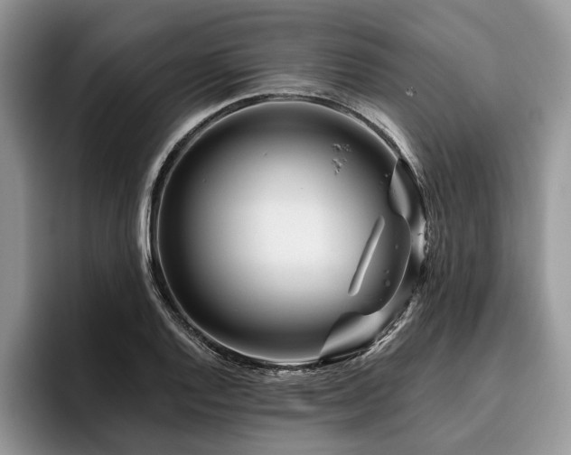X0000096191128200801181315