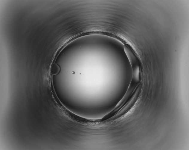 X0000096191129200801181315