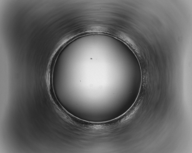 X0000096191130200801181315