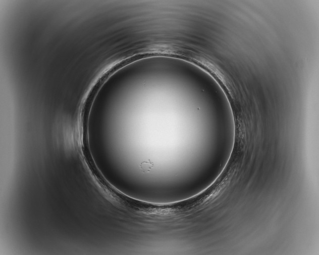 X0000096191131200801181315