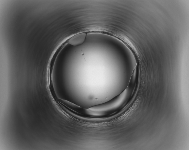 X0000096191132200801181315