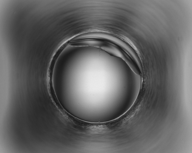 X0000096191133200801181315