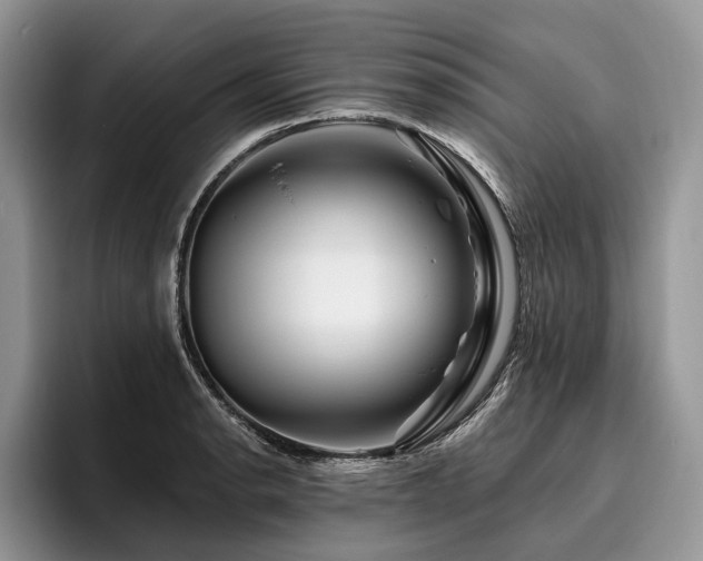 X0000096191134200801181315
