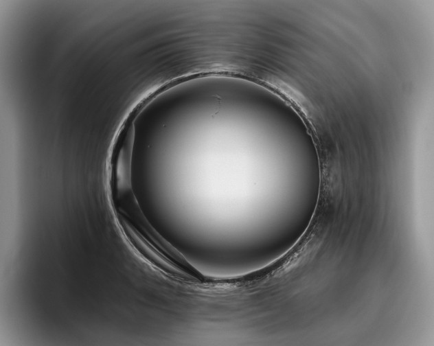 X0000096191135200801181315