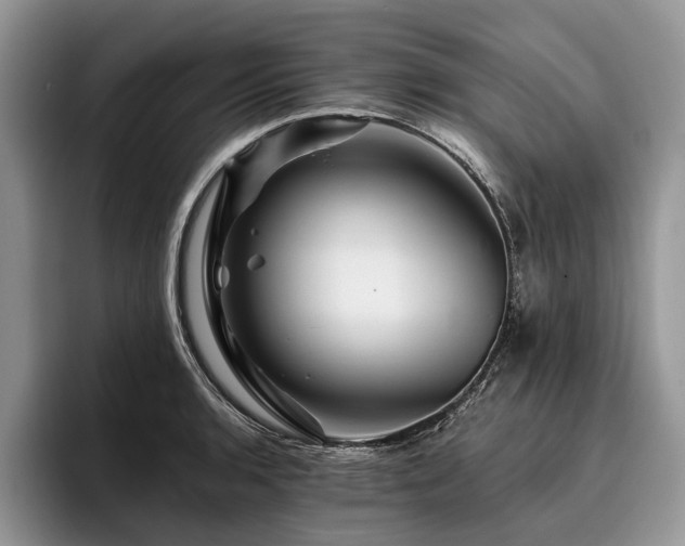 X0000096191136200801181315