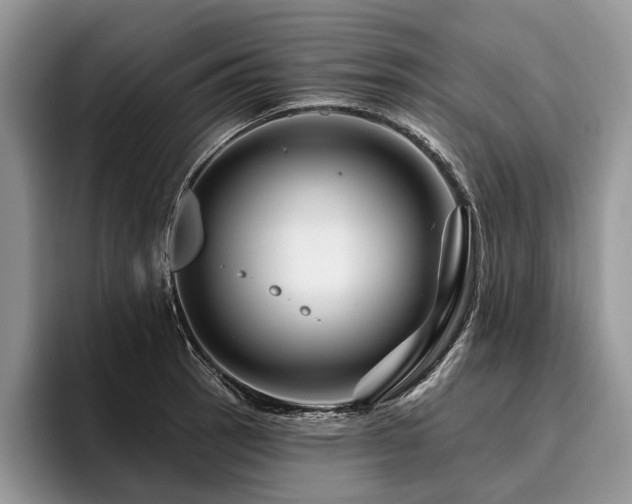 X0000096191137200801181315