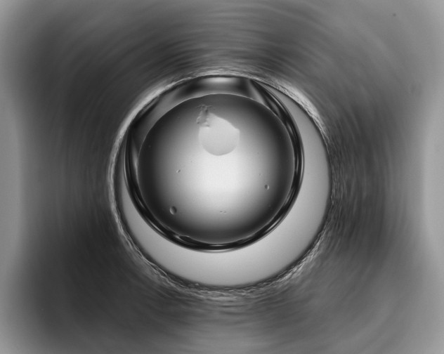 X0000096191138200801181315