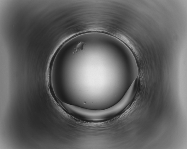 X0000096191140200801181315