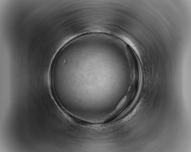 X0000096191141200801181315