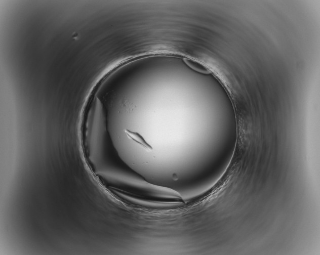 X0000096191142200801181315