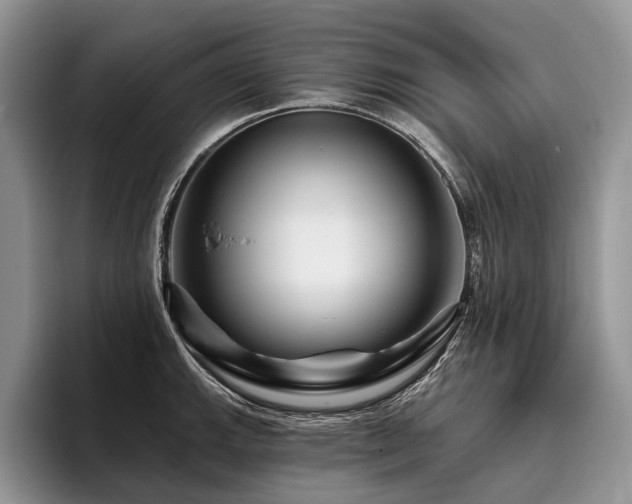 X0000096191143200801181315