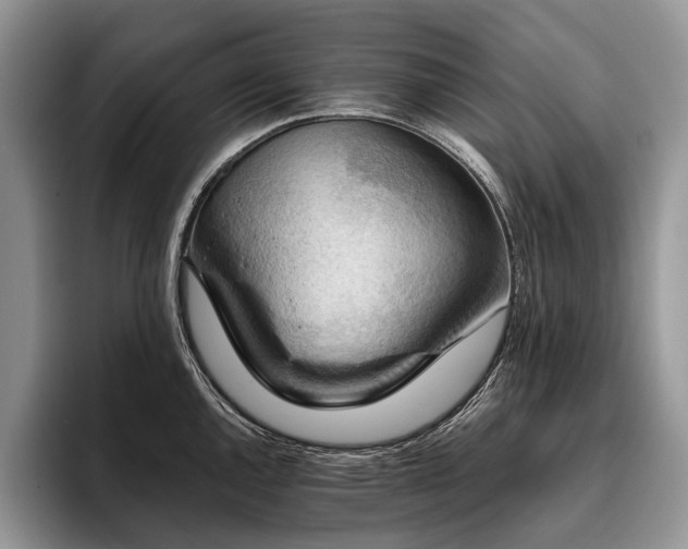 X0000096191144200801181315
