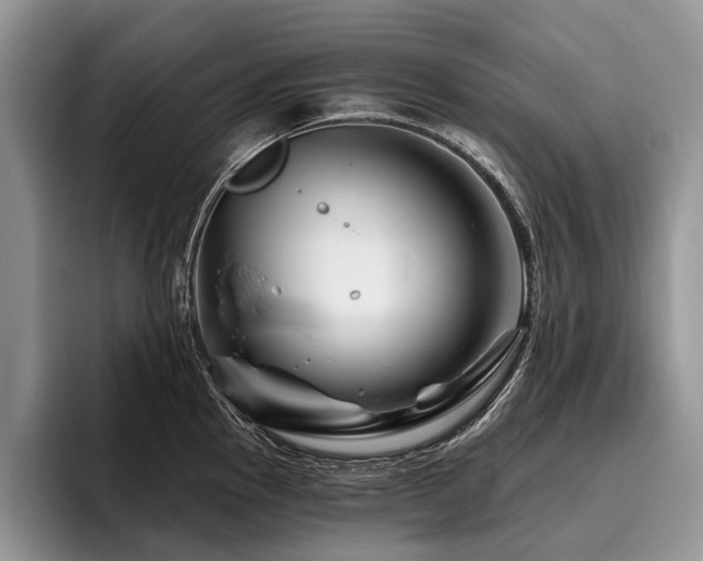 X0000096191145200801181315