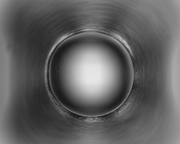 X0000096191146200801181315