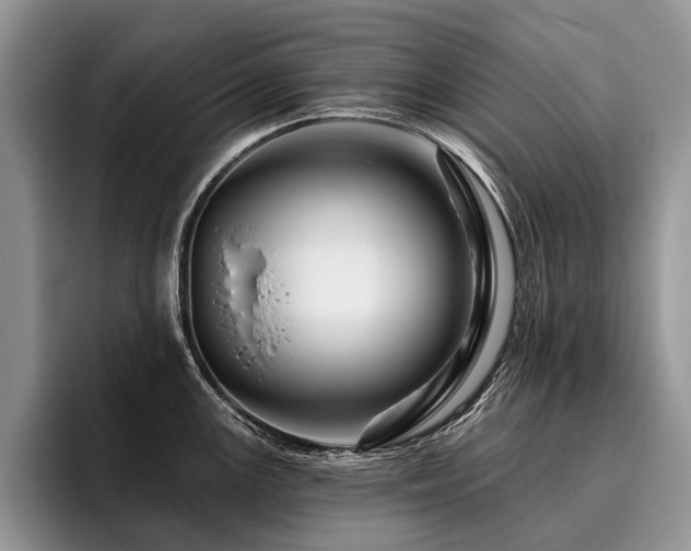 X0000096191147200801181315