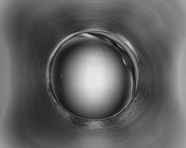 X0000096191148200801181316
