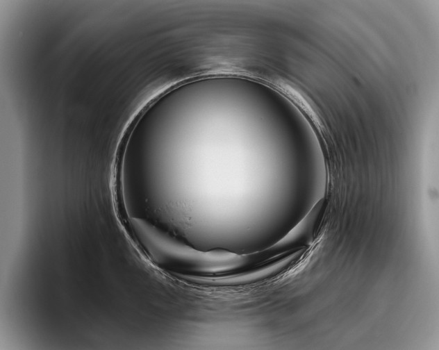 X0000096191149200801181316