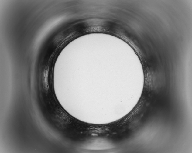 X0000096191150200801181316