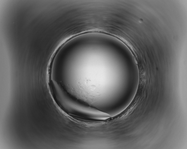 X0000096191151200801181316