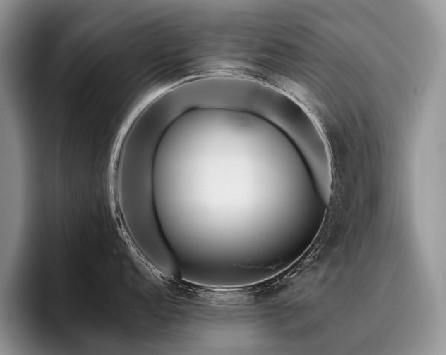 X0000096191152200801181316