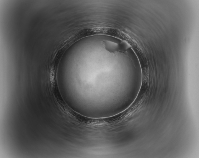 X0000096191154200801181315