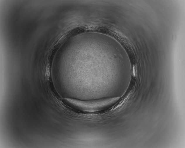 X0000096191155200801181315