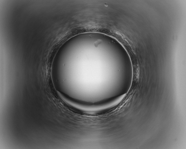X0000096191157200801181315