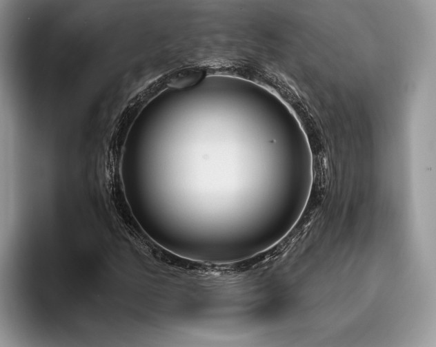 X0000096191158200801181315