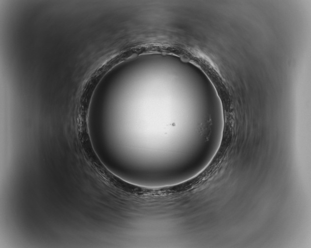 X0000096191159200801181315