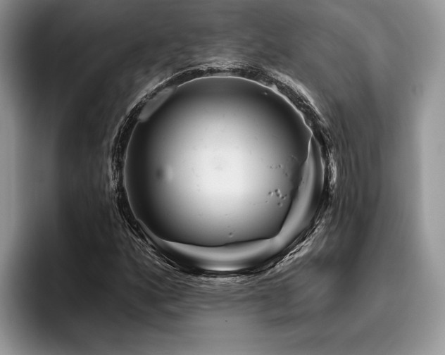 X0000096191160200801181315