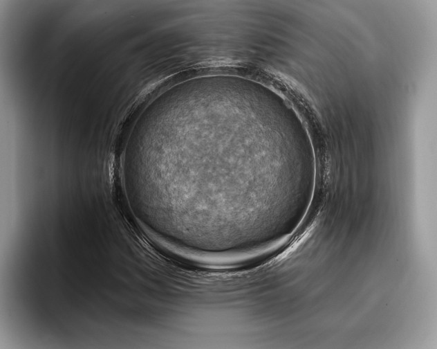 X0000096191161200801181315