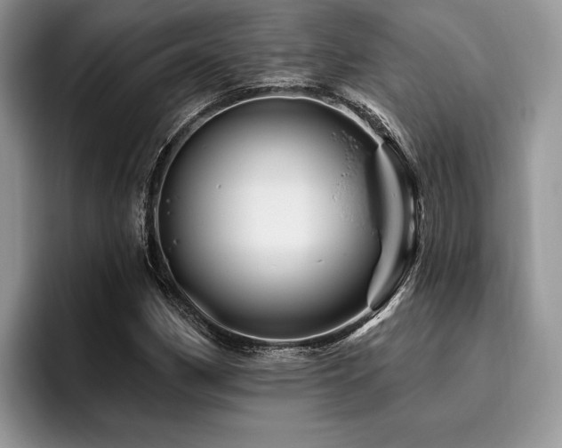 X0000096191162200801181315