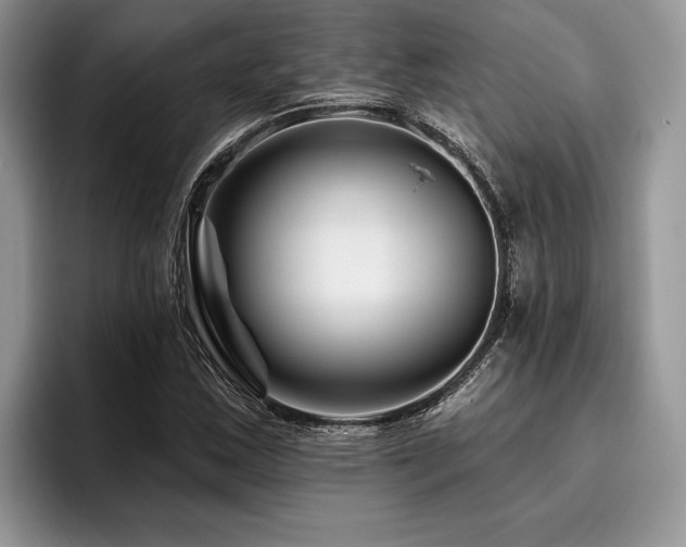 X0000096191163200801181315