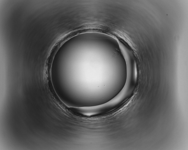 X0000096191164200801181315