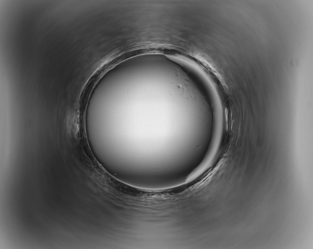 X0000096191165200801181315