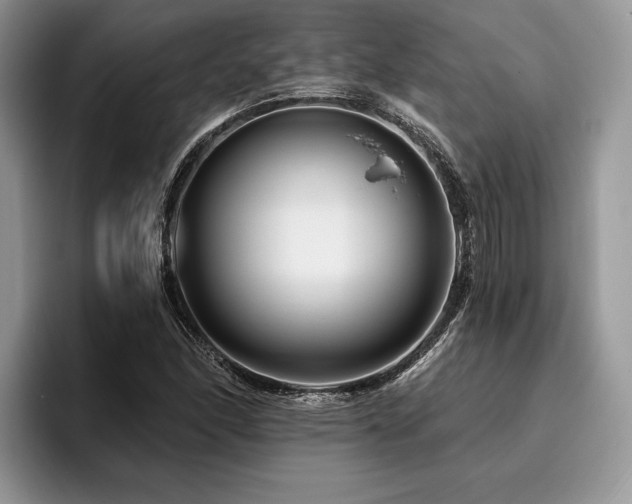 X0000096191166200801181315