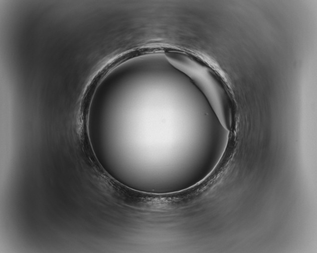 X0000096191167200801181315