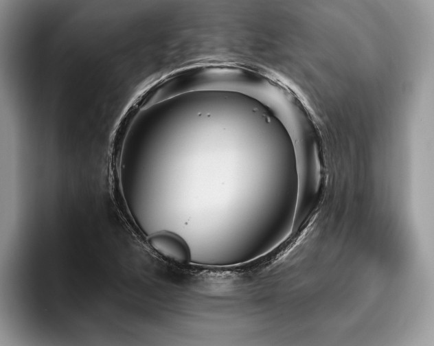 X0000096191168200801181315