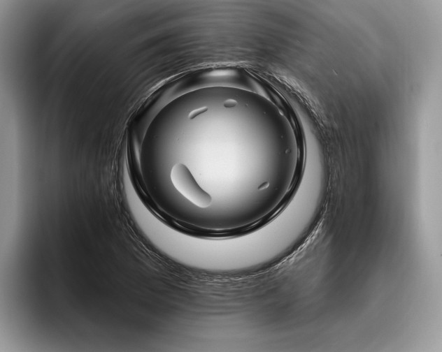 X0000096191169200801181315