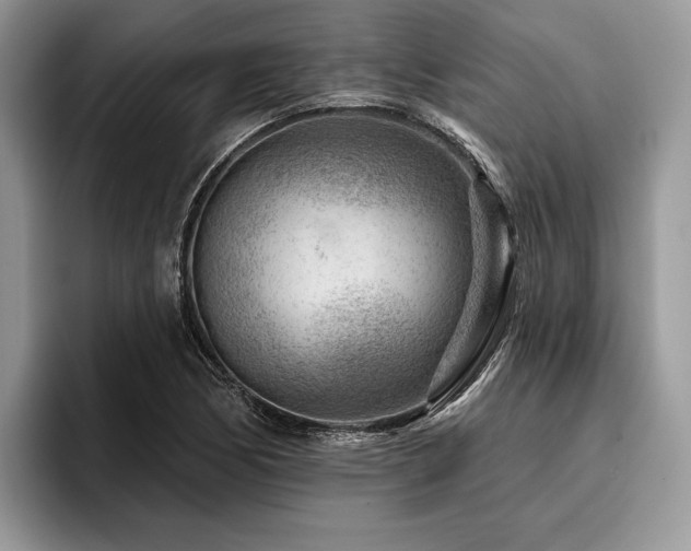 X0000096191170200801181315