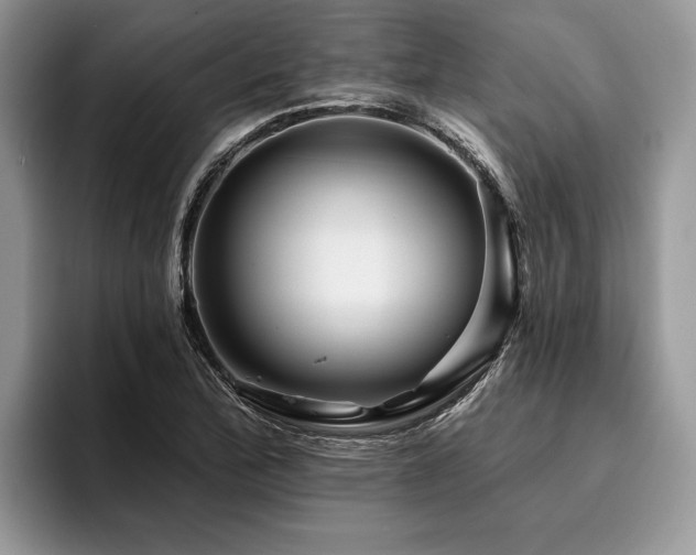 X0000096191172200801181315