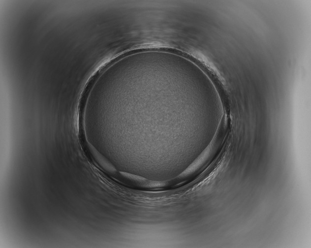 X0000096191173200801181315