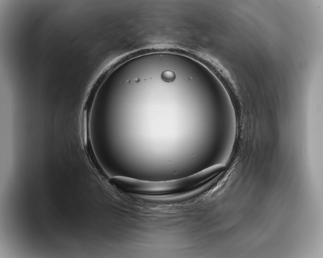 X0000096191175200801181315